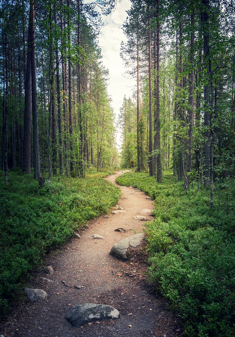 Assessment_Path